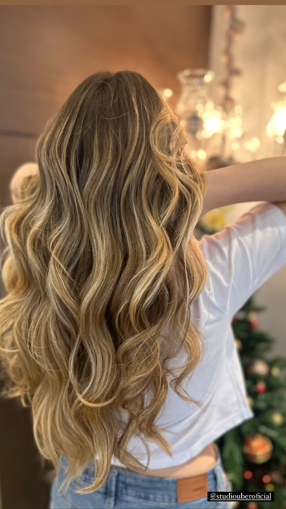 Morena iluminada com brilho natural